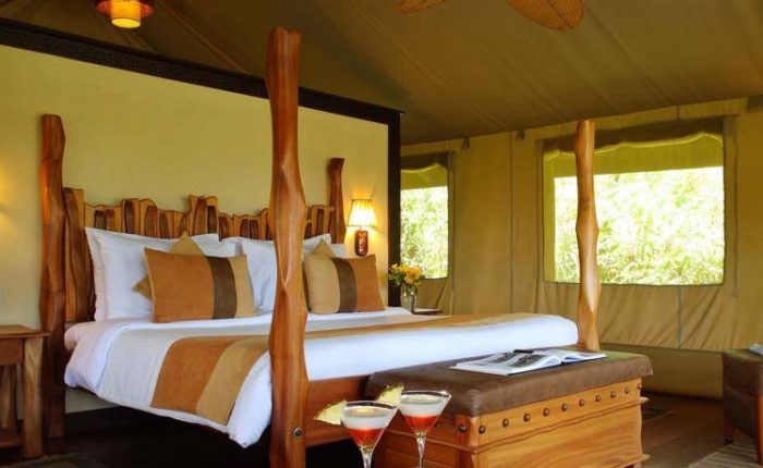 Luxury Lodge Safari
